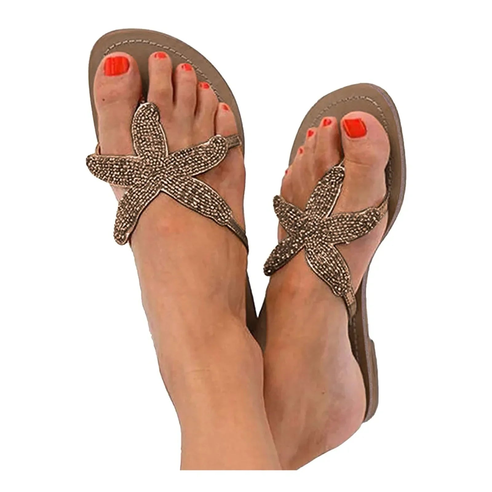 Marina™ | Coastal Sea Star Slides